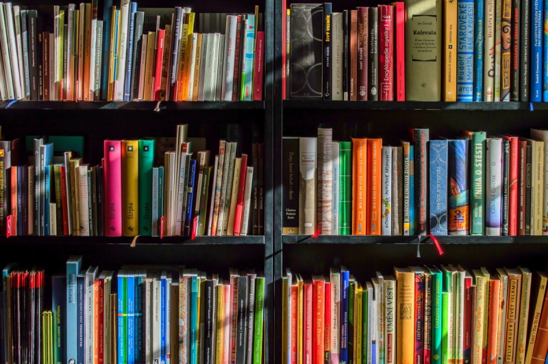 magasin-SIGALE-min_books_bookstore_book_reading_shop_writer_sale_books_read-822866